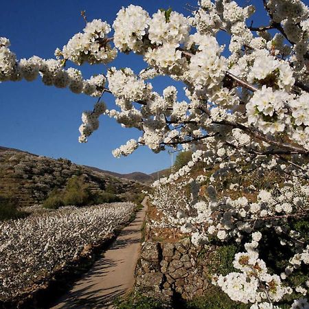 Casas del Monte Casa Rural Arbequina, Refugio De Primavera מראה חיצוני תמונה