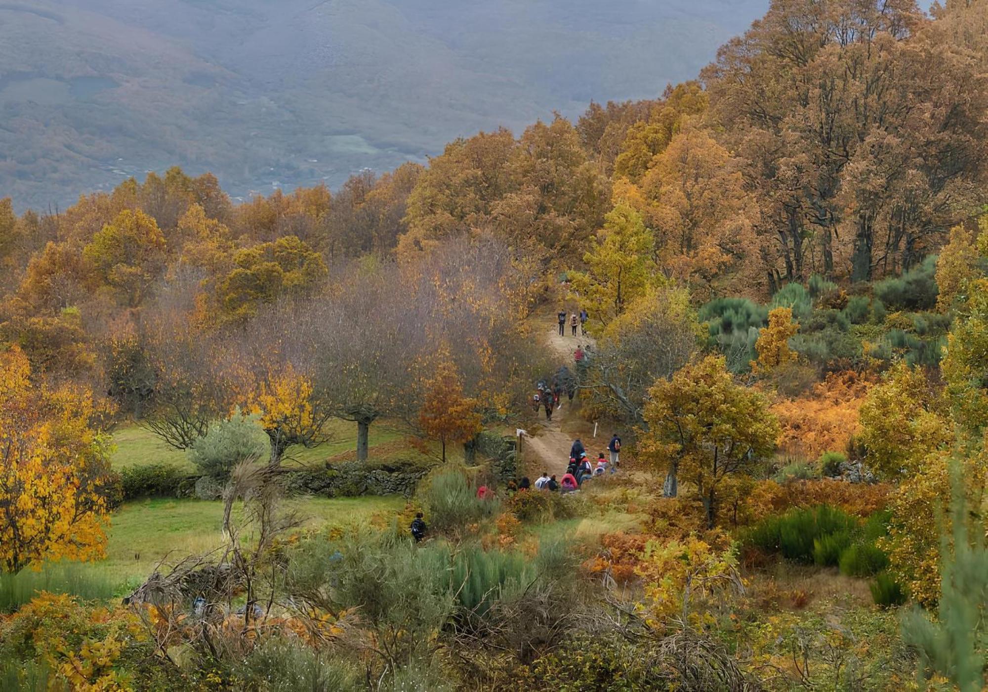 Casas del Monte Casa Rural Arbequina, Refugio De Primavera מראה חיצוני תמונה